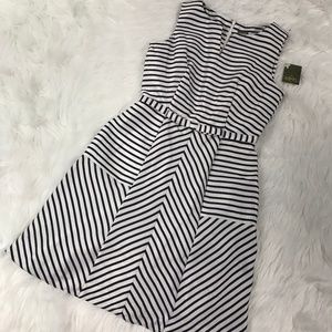 NWT Taylor womens size 6 dress white black stripes